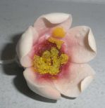 Flower Blossom Porcelain
