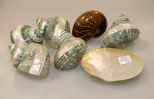 Five Decorative Shells & Stone Shell Dish