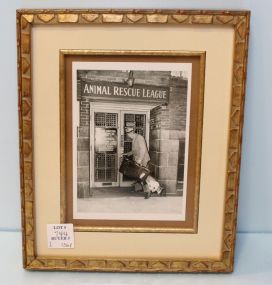 Picture of Animal Rescue Center