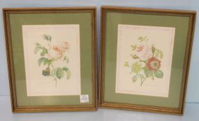 Two Floral Prints