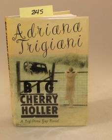 Big Cherry Holler by Andriana Trigiani
