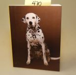 Dalmation Book By Kessels Kramer