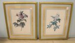 Pair of Floral Prints