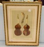 Violin Print