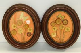 Pair of Oval Walnut Victorian Shadowbox Frames 