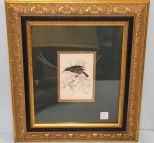 Bird Print in Ornate Frame