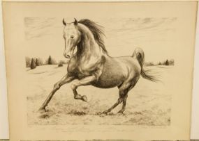 Limited Edition Print of Horse by Tina Mackler 