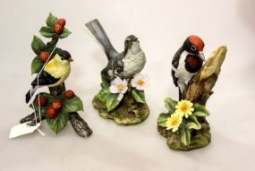 Andrea Gold Finch, Mocking Bird, Woodpecker