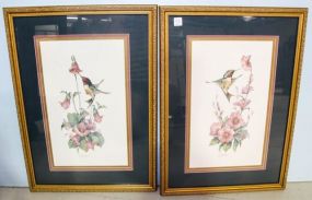 Pair of Limited Edition Prints of Hummingbirds