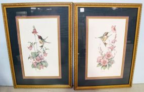 Pair of Limited Edition Prints of Hummingbirds