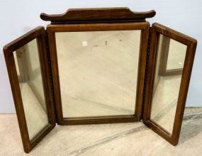 Swing Out Sides Mirror