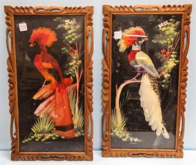 Pair of Feather Art Birds in Carved Frames