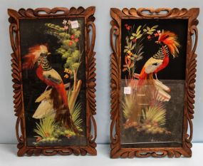 Pair of Feather Art Birds in Carved Frames
