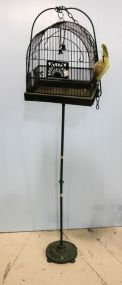Painted Bird Cage