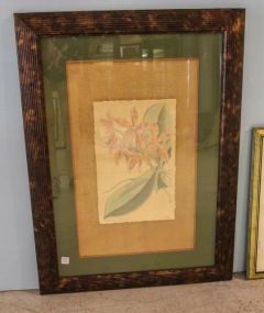 Summer Orchid Limited Edition Print