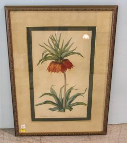 Botanical Print