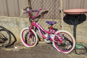 Pink Slumber Party Bicycle