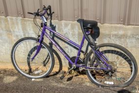Purple Road Master 10 Speed Bicycle