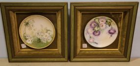 Two Hand Painted Plates in Shadow Box Frames