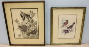 Two Framed Bird Prints