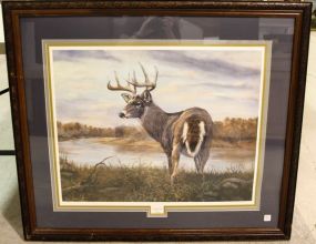 1994 Giclee Whitetail Signed by Ney Park