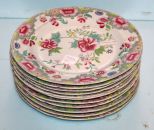 Set of Twelve Stone China Oriental Floral Design Plates