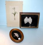 Two Crochet Pictures & Botanical