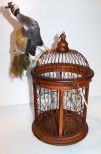Bird Cage with Peacock