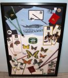 Museum of Natural Science Framed T Shirt & Butterflies