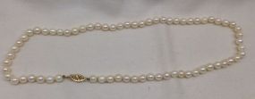 One Even Single Strand Pearl Necklace 16.0