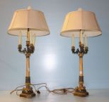Fine Pair of 19th Century French Bronze and Marble Candelabra Lamps