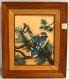 Oil Painting of Blue Jays