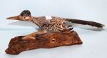 J.E. Leddebber 1971 Carved Roadrunner