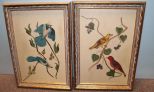 Two Oil Paintings of Birds in Vintage Frames