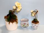 Three Flower Pots
