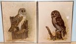 Two Owl Prints