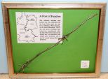 Framed Piece of Barbed Wire