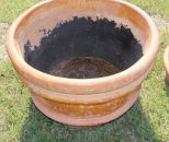 Terra Cotta Planter with Bands