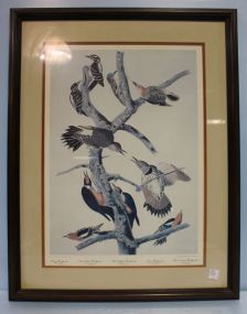 Engrave Havell Print of Woodpeckers