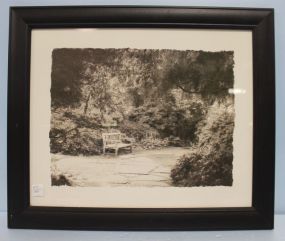 Print of Bench in Garden