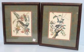 Two Prints of Birds in Faux Marble Matts and Frames