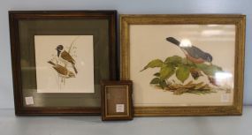 Frame Print of Robin Signed Chuck Ripper, Signed Murr 1958 Print of Birds, Small Wood Frame