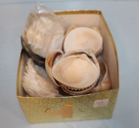 Box of Seashells