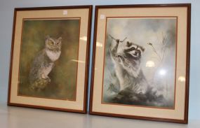 Pair of Framed Prints, Raccoon and Owl