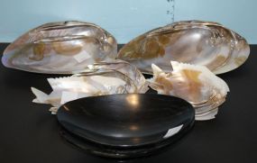 Box Lot of Shell Dishes