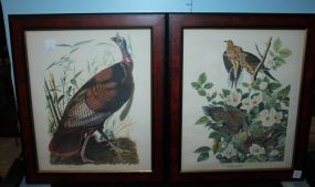 Pair of Bird Prints 17