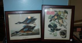 Two Prints of Birds 17