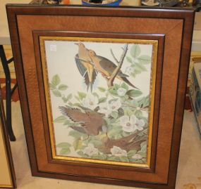 Framed Print of Birds 28 1/2