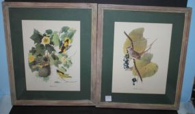 Two Vintage Print of Birds 14