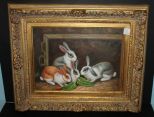 Contemporary Painting of Rabbits 23